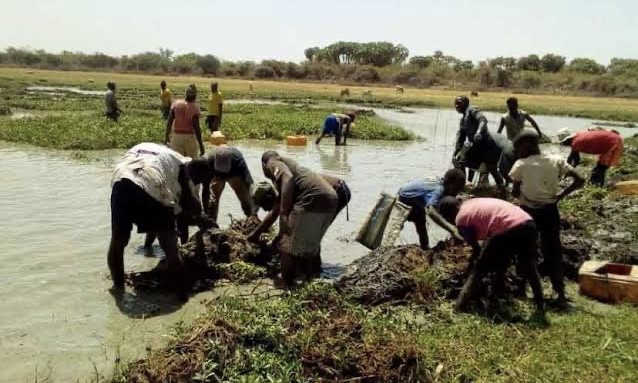 Hadejia-Nguru Wetlands