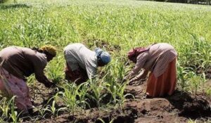 Women farmers