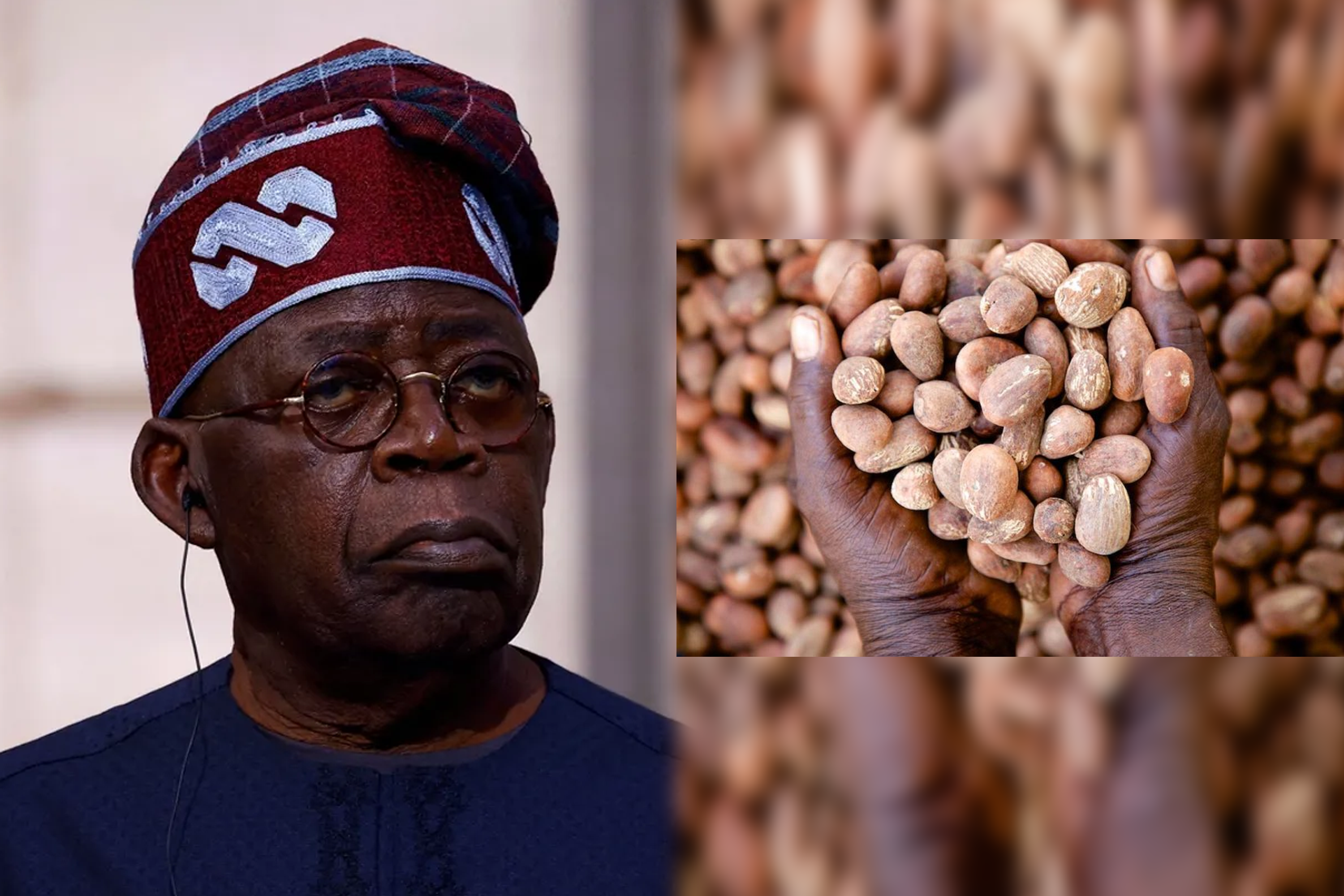 President Bola Tinubu/Shea nuts