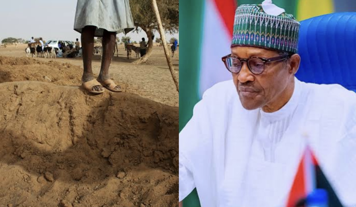 President Muhammadu Buhari and Sahel Climate Fund