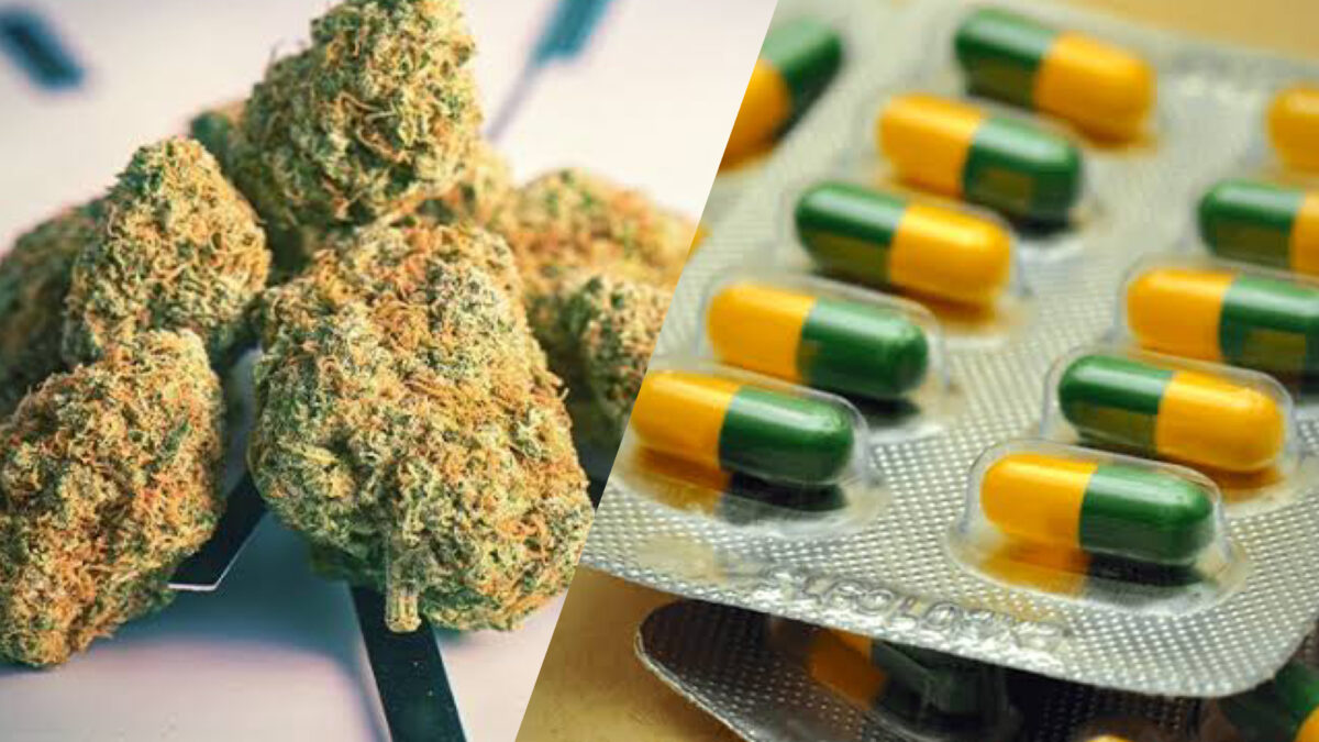 Cannabis and tramadol