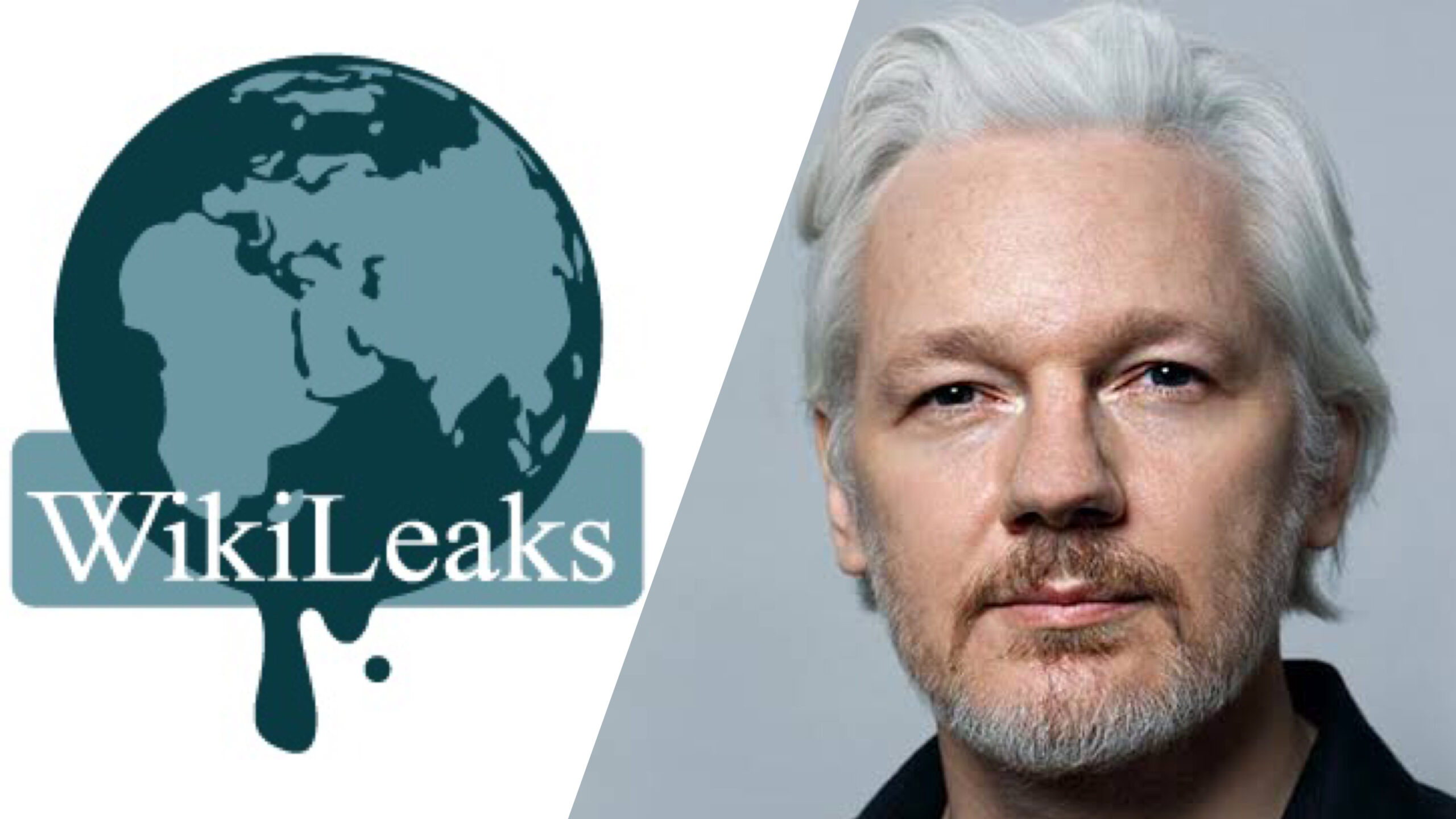 WikiLeaks, Julian