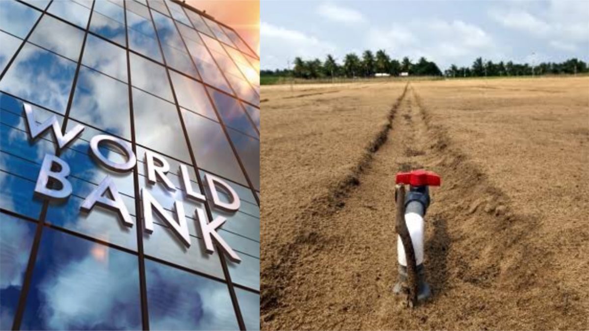 World Bank and dry northern farm