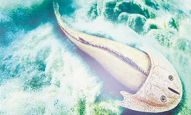 ancient fish