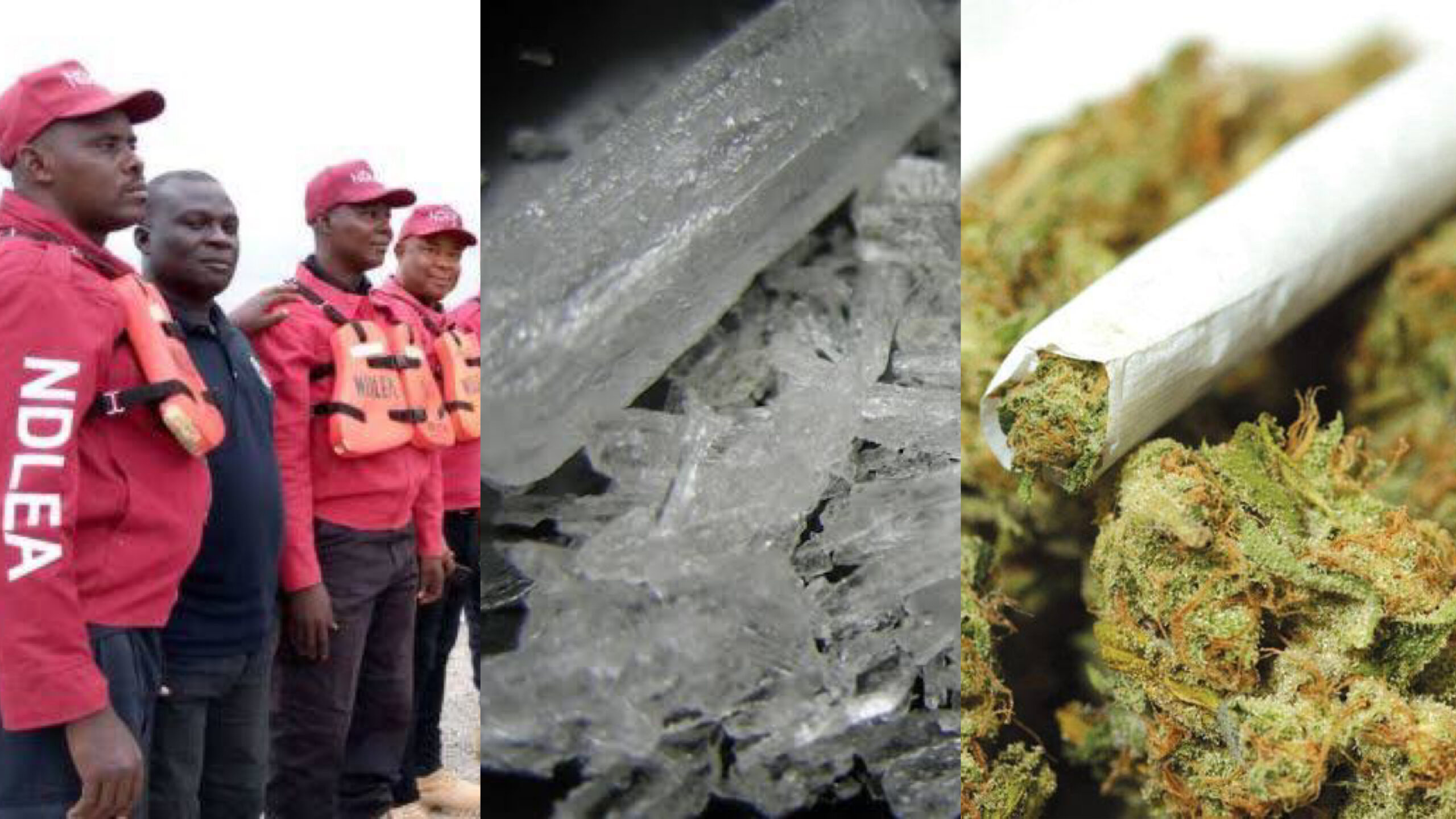 NDLEA operatives, ICE, Indian hemp