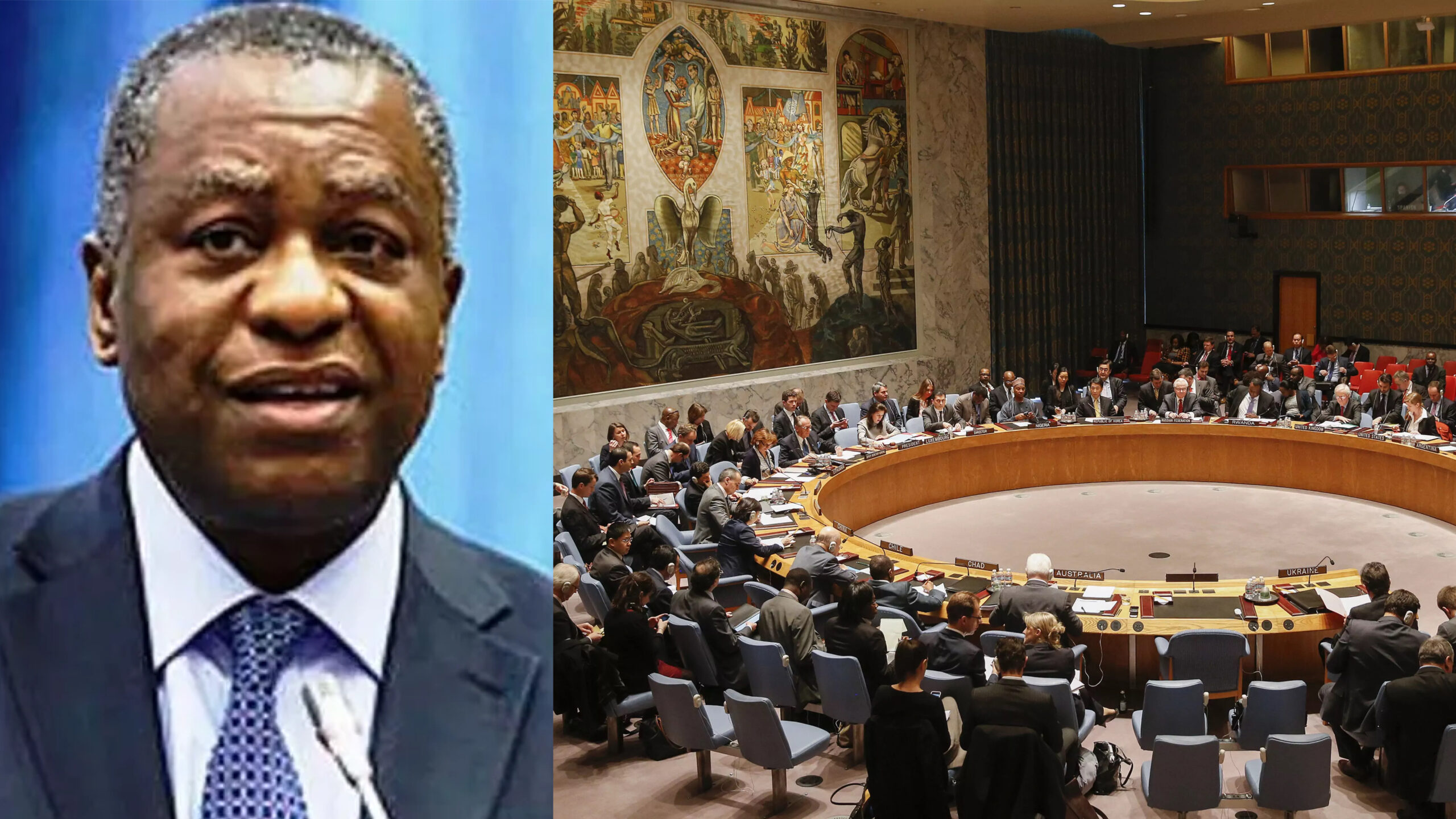 Geoffrey Onyeama and UN Security Council