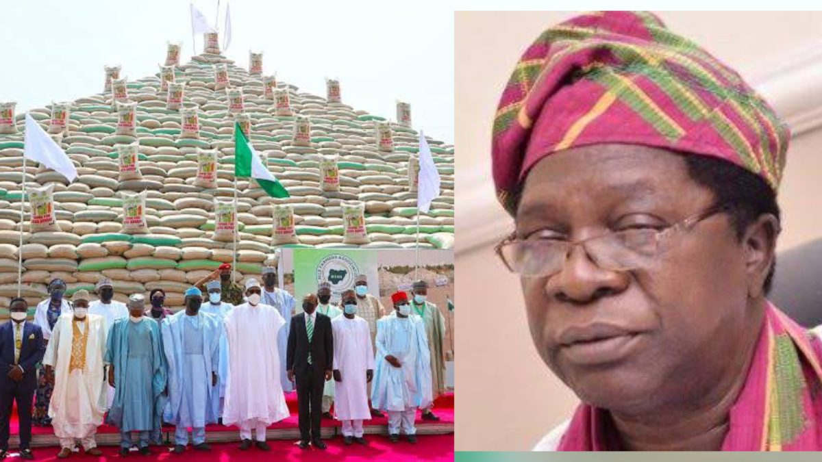 Abuja rice pyramid, Joseph Akinlaja