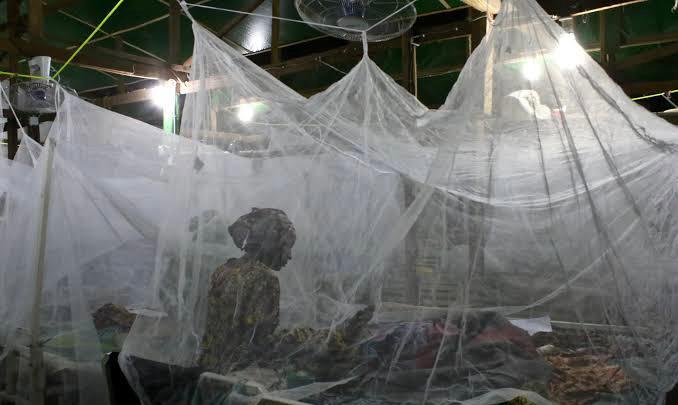 PATIENTS UNDER MOSQUITO NETS IN HOSPITAL