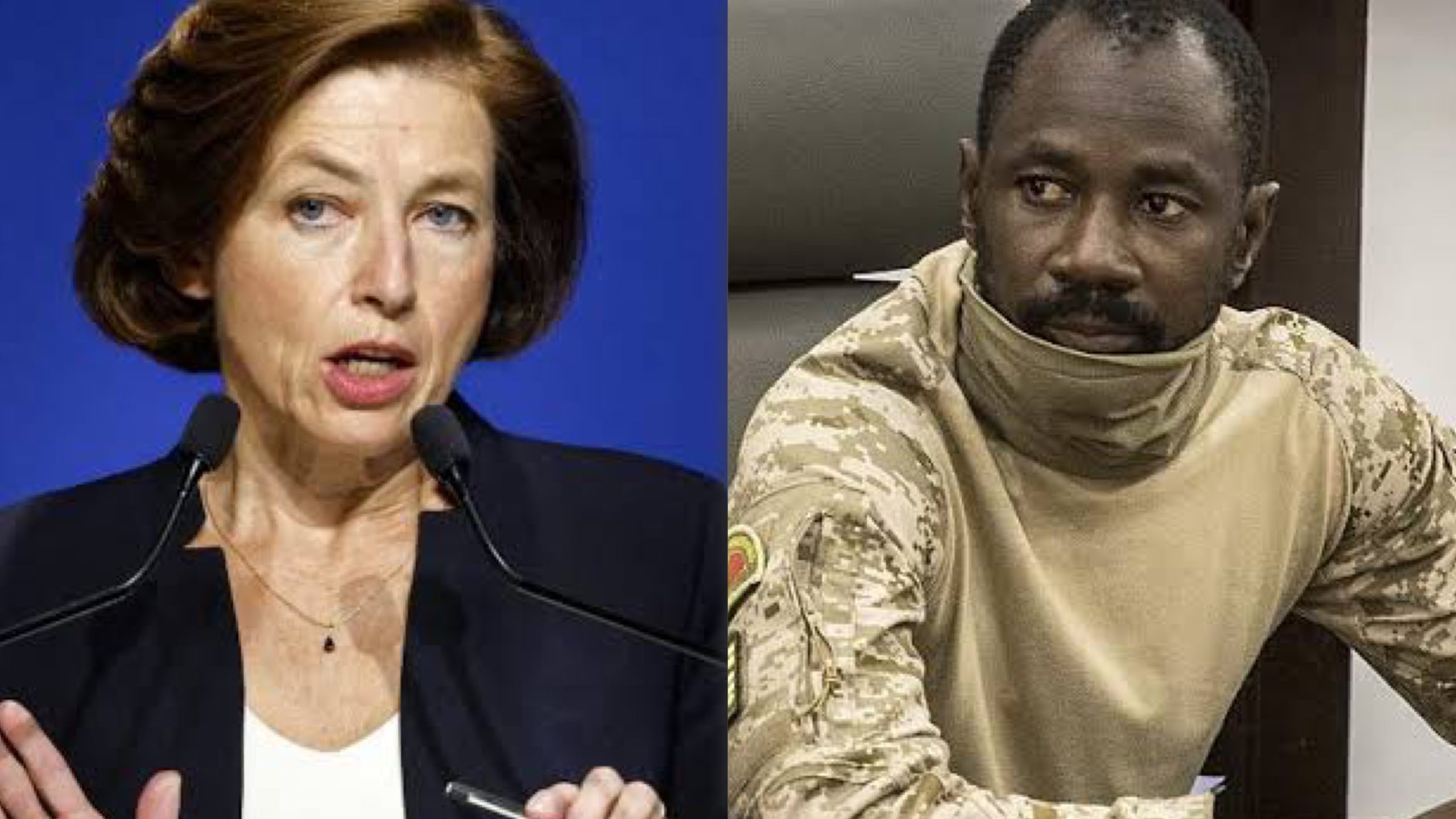Florence Parly, Mali military leader