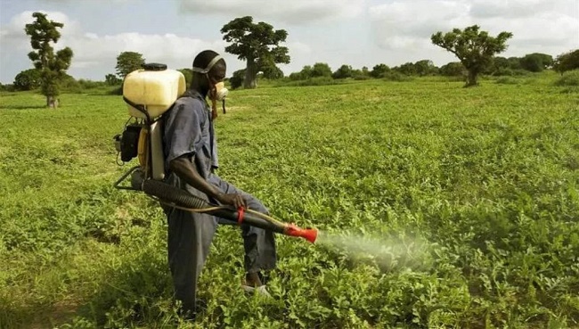 Someone spraying pesticide on a farm