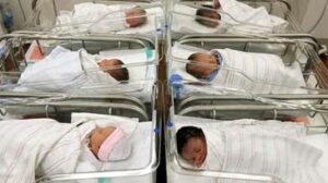 NEWBORN BABIES