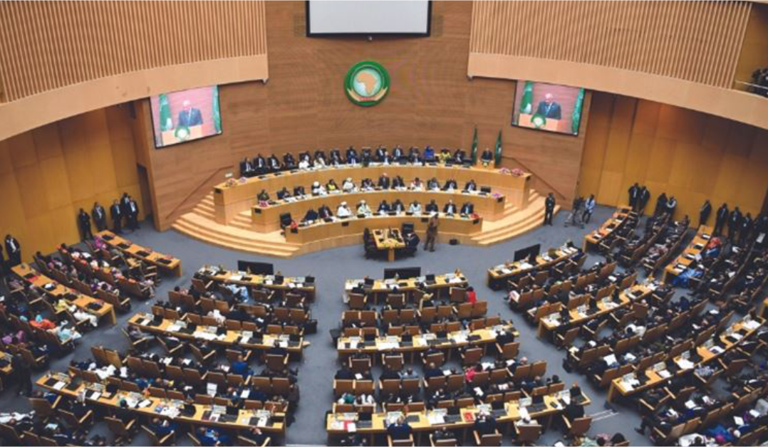 African Union plenary