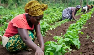 Backyard farming