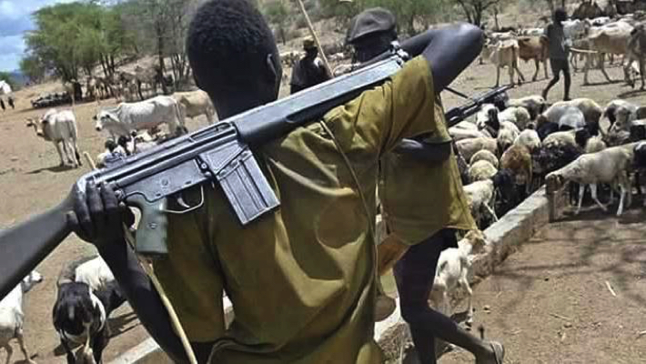 Armed herdsmen