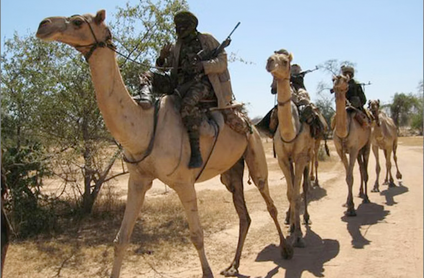 Janjaweed militias