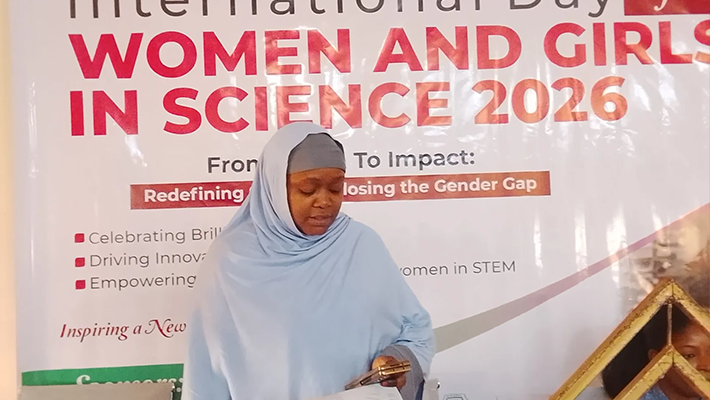 Nigerian Women in Information and Technology