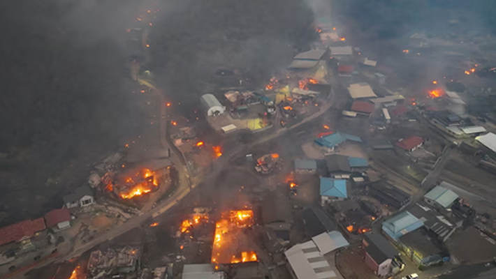 South Korea wildfire