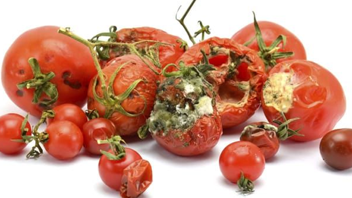 Rotten tomatoes