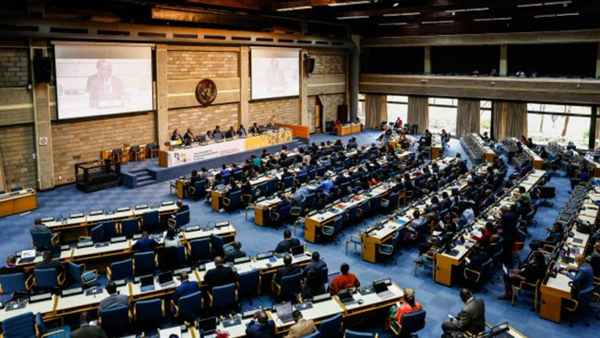 African environment ministers