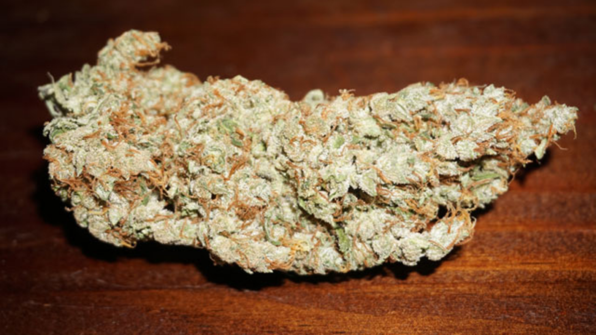 skunk