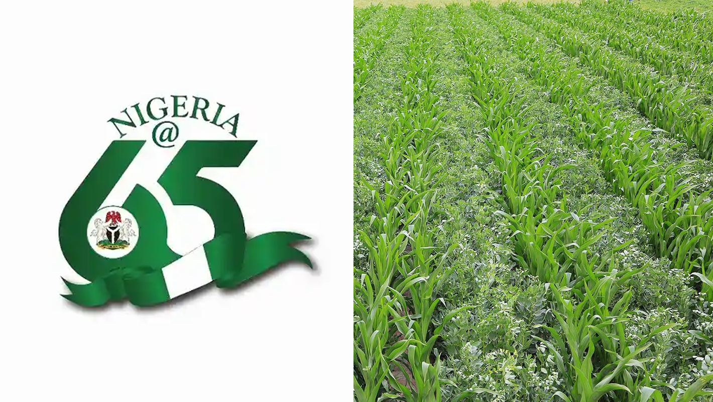 Nigeria@65 logo/Crops