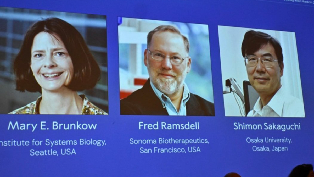 Brunkow, Ramsdell and Sakaguchi