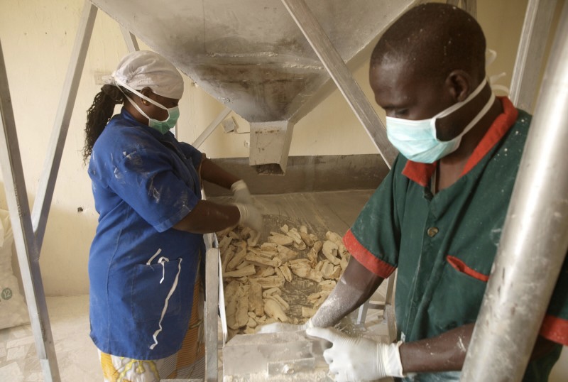 Cassava processors