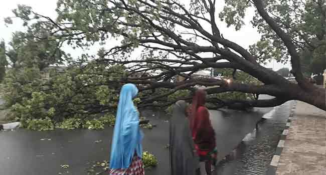 Bauchi-Flood