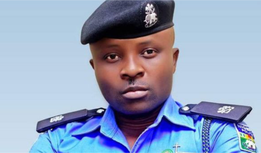 Ebere Amaraizu gets new police posting - Peoples Gazette