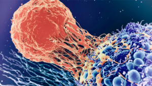 Image used to illustrate cancer
