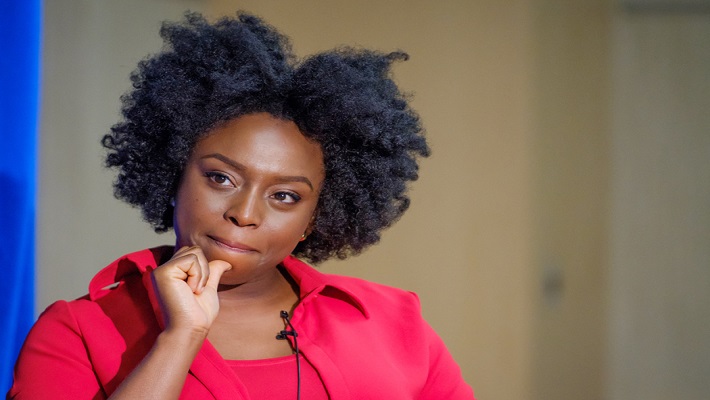 Chimamanda Ngozi Adichie. pHOTO CREDIT: JSTOR Daily]