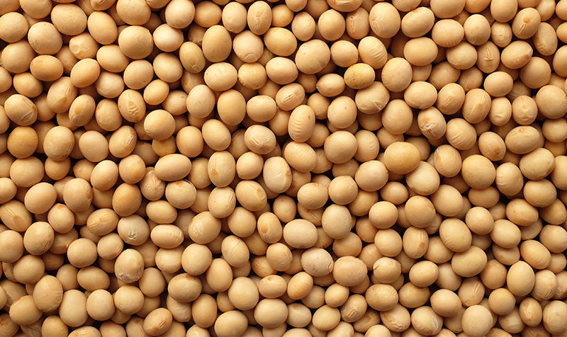 Soyabeans