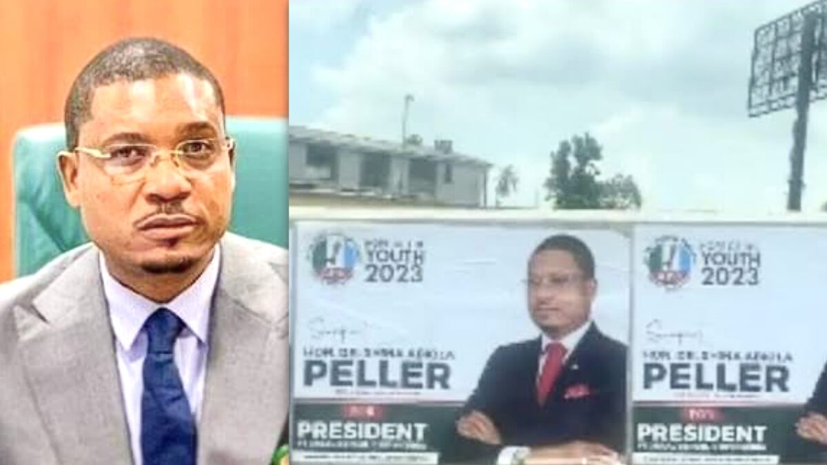 Shina Peller