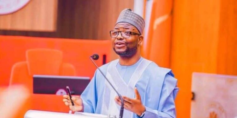 AU appoints Nigeria’s humanitarian affairs minister Doro to AfHA board