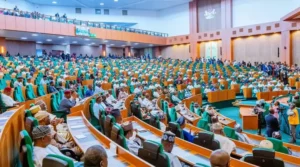 House of Representatives in plenary