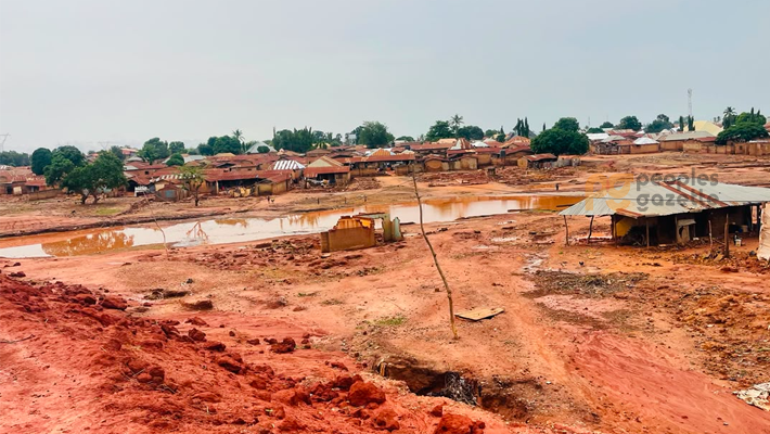 Flooded Niger community.