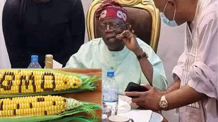 GMOs; Tinubu eating
