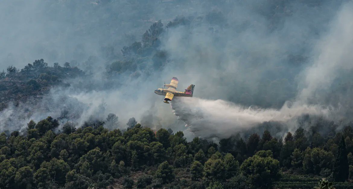 France, Spain wildfires