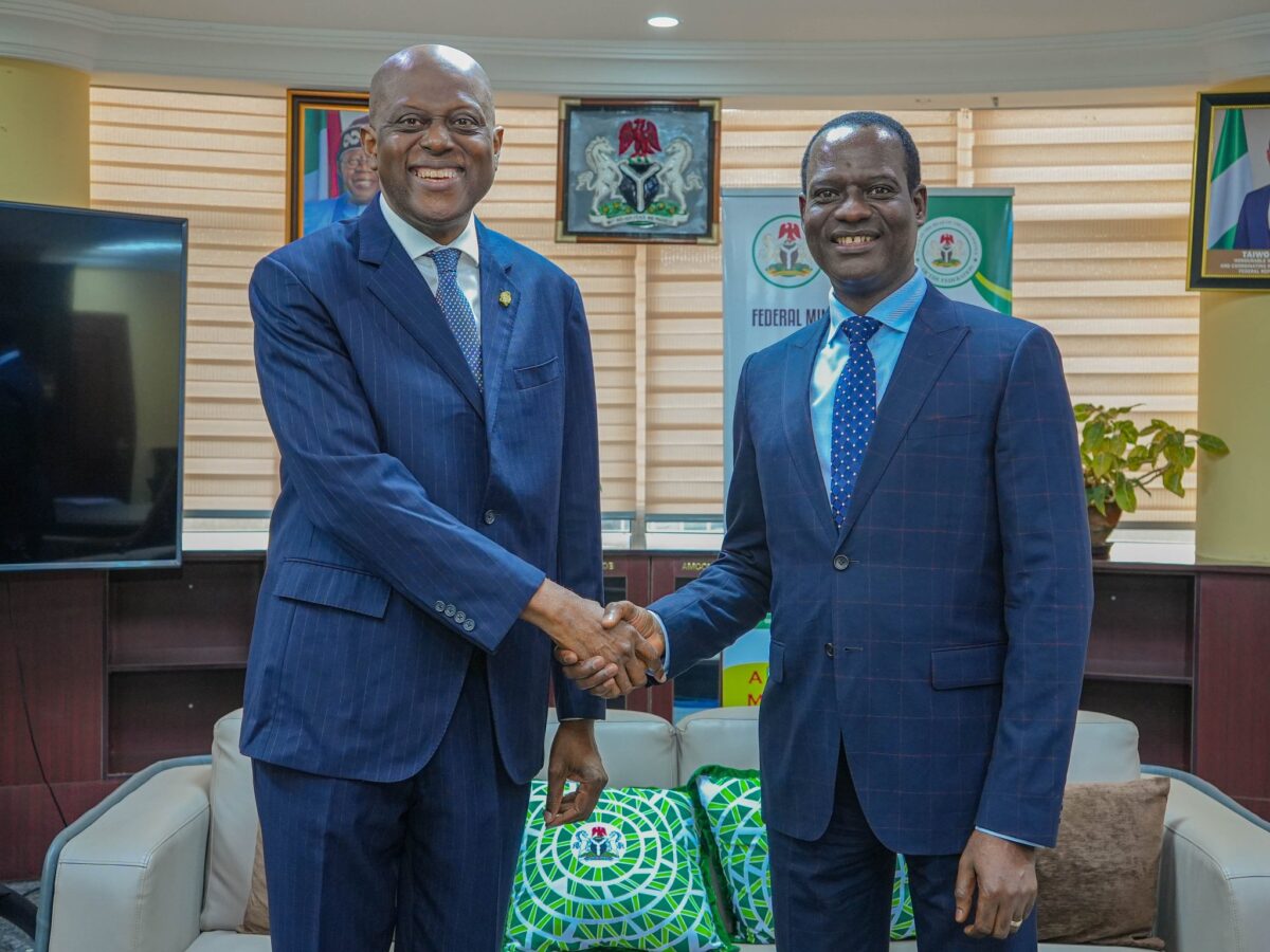 Olayemi Cardoso and Taiwo Oyedele