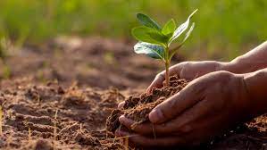 Healthy soil