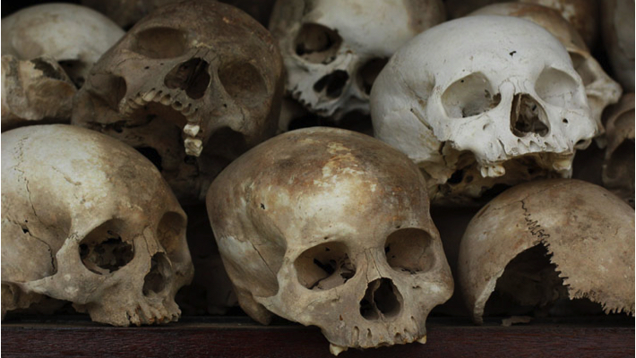 Human skulls