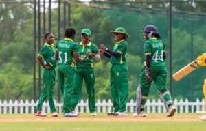 Nigeria’s YellowGreens