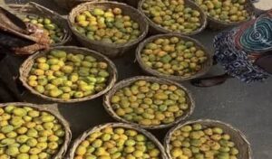 Mangoes