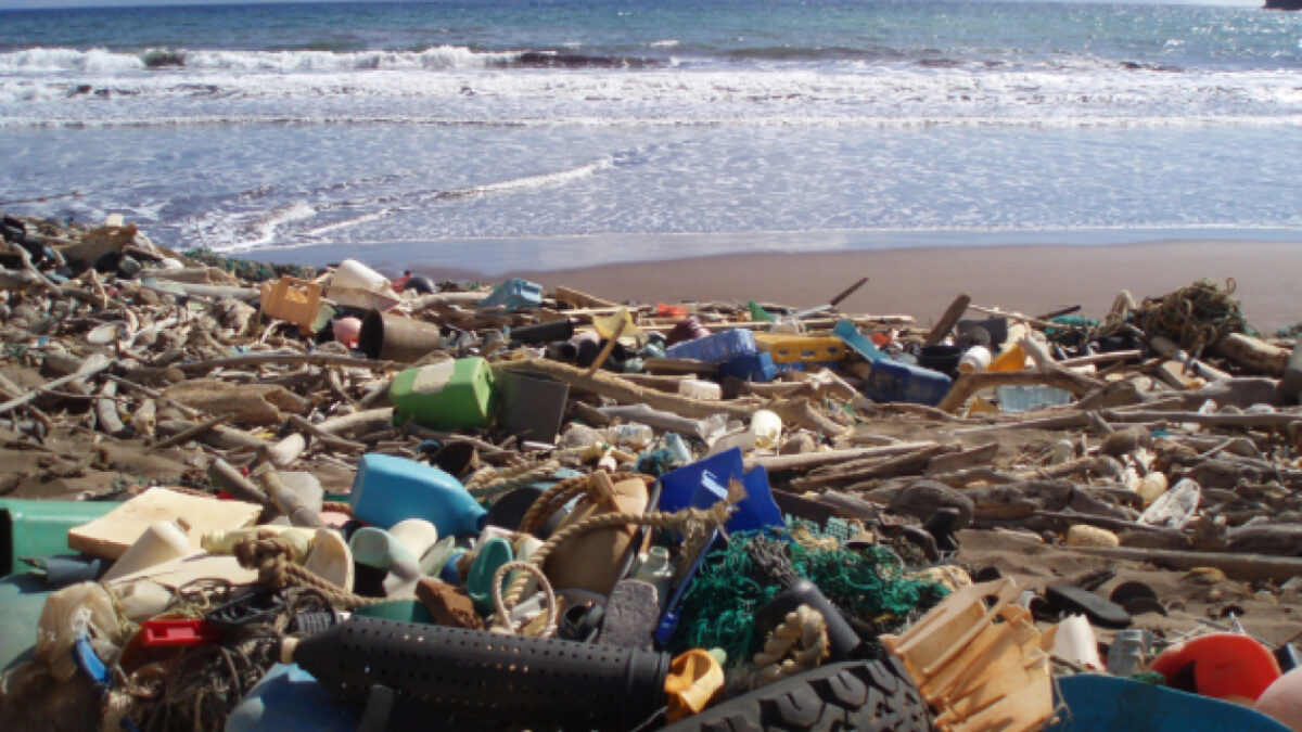 COASTAL POLLUTION