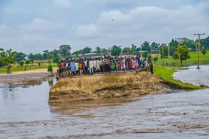 Yobe flood