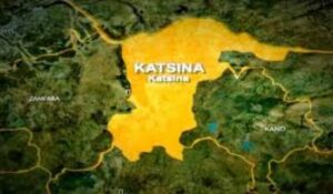 Katsina state map (Credit: Punch)