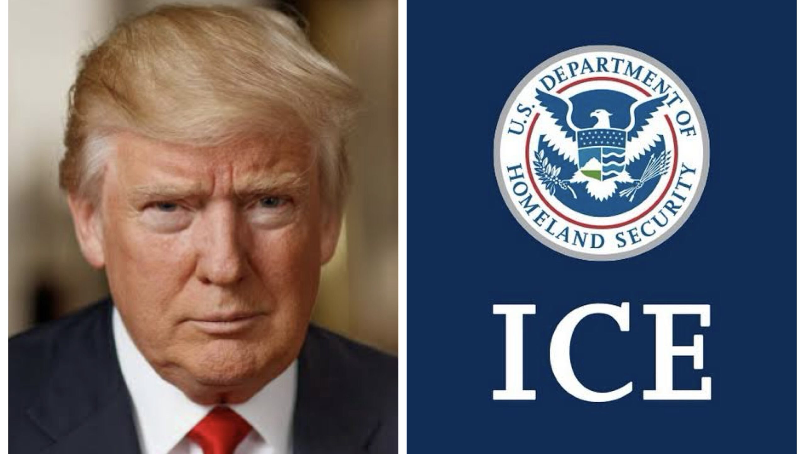 Donald Trump and ICE logo