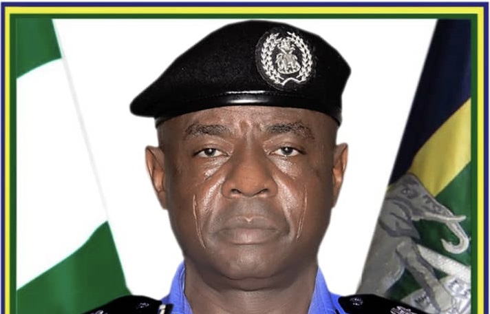 Katsina commissioner of police, Idrisu Dabban-Dauda