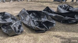 Body bags used to illustrate this story (Credit: X)