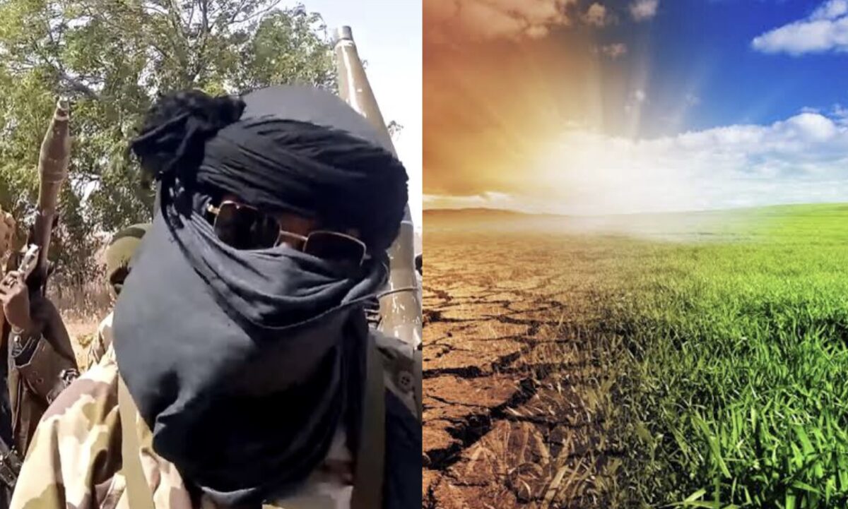 BANDITS and CLIMATE CHANGE